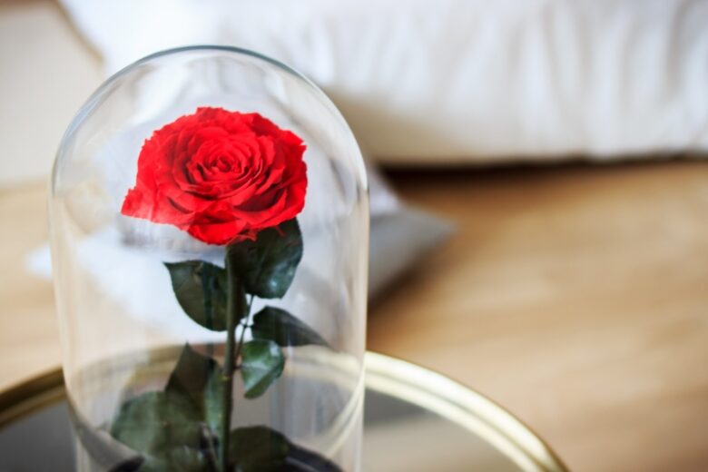 Rosa-stabilizzata-in-campana-di-vetro